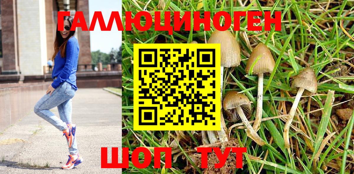 Псилоцибиновые грибы ЛСД  Галлюциногенные грибы ЛСД  Югорск  Вход с VPN 